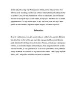 Prakses atskaite 'Kvalifikācijas prakse pirmsskolas izglītības iestādē', 19.