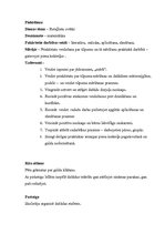 Prakses atskaite 'Kvalifikācijas prakse pirmsskolas izglītības iestādē', 22.