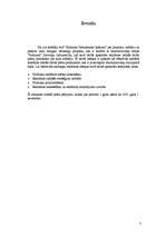 Referāts 'Reklāmas radošā plāna izveide produktam X', 3.