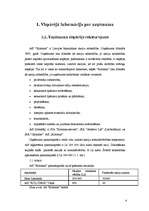 Referāts 'Reklāmas radošā plāna izveide produktam X', 4.