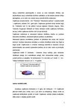 Referāts 'Reklāmas radošā plāna izveide produktam X', 5.