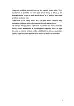 Referāts 'Reklāmas radošā plāna izveide produktam X', 7.