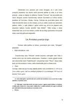 Referāts 'Reklāmas radošā plāna izveide produktam X', 10.