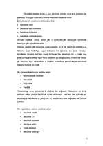 Referāts 'Reklāmas radošā plāna izveide produktam X', 17.