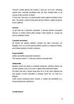 Referāts 'Reklāmas radošā plāna izveide produktam X', 23.