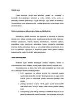 Eseja 'Informācijas sabiedrība un tās ienaidnieki', 2.