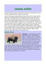 Referāts 'Canada', 6.