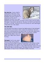 Referāts 'Canada', 7.