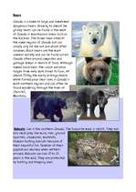 Referāts 'Canada', 8.