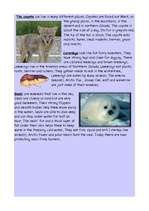 Referāts 'Canada', 9.