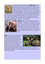 Referāts 'Canada', 10.