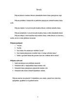 Referāts 'Studentu lēmumu ietekmējošie faktori banku pakalpojumu tirgū', 3.