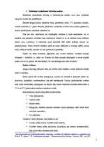 Konspekts 'Reklāmas izplatīšanas līdzekļu analīze', 2.