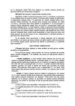 Referāts 'Galvojums', 8.