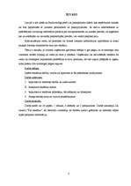 Referāts 'Reklāma, tās veidi un plānošana', 3.