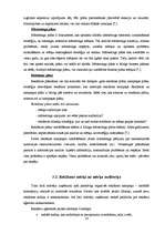 Referāts 'Reklāma, tās veidi un plānošana', 16.