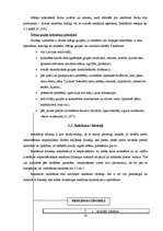 Referāts 'Reklāma, tās veidi un plānošana', 18.