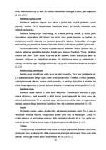 Referāts 'Reklāma, tās veidi un plānošana', 20.