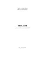 Paraugs 'Refleksi', 1.