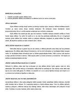 Paraugs 'Refleksi', 3.