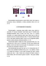 Referāts 'Termodinamiski aktīvi materiāli', 11.