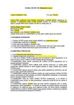 Paraugs 'Darba līgums', 1.