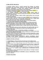 Paraugs 'Darba līgums', 2.