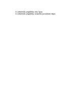 Prakses atskaite 'Starptautisko ekonomisko attiecību organizēšana un vadīšana', 26.