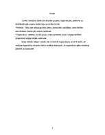 Referāts 'Formālās organizācijas', 3.