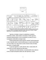 Referāts 'Formālās organizācijas', 5.