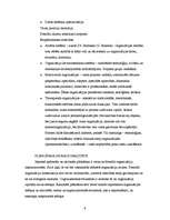 Referāts 'Formālās organizācijas', 9.