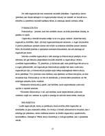 Referāts 'Formālās organizācijas', 10.