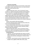 Referāts 'Formālās organizācijas', 11.