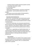 Referāts 'Formālās organizācijas', 12.