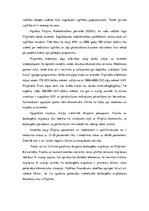 Referāts 'Kapitāla kustība Dienvidaustrumu Āzijā', 17.