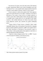 Referāts 'Kapitāla kustība Dienvidaustrumu Āzijā', 19.