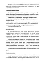 Referāts 'Pētījums un finansiālās darbības rādītāju analīze AS "Hansabanka"', 10.