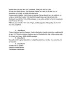 Konspekts 'Brāļi Kaudzītes "Mērnieku laiki"', 2.