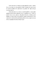 Eseja 'Lokālo ražotāju nozīme patērētāja pirkšanas lēmuma pieņemšanā', 2.