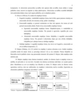 Referāts '15-18 gadus vecu jauniešu palīdzības sniegšanas motīvi', 8.