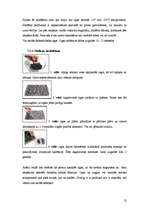 Referāts 'Ogas', 12.