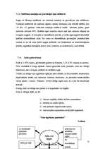 Referāts 'Ogas', 13.