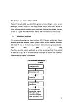 Referāts 'Ogas', 14.