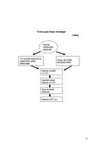 Referāts 'Ogas', 17.