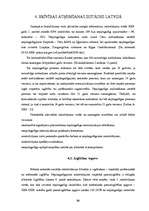 Diplomdarbs 'Pāraudzināšanas iestāžu nozīme nepilngadīgo likumpārkāpēju dzīvē', 19.