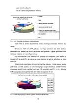 Diplomdarbs 'Pāraudzināšanas iestāžu nozīme nepilngadīgo likumpārkāpēju dzīvē', 31.