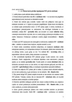 Referāts 'Risku vadīšanas procesa novērtējums AS "Pet Baltija"', 7.