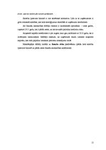 Referāts 'Risku vadīšanas procesa novērtējums AS "Pet Baltija"', 12.