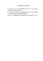 Referāts 'Risku vadīšanas procesa novērtējums AS "Pet Baltija"', 19.