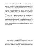 Referāts 'Nacionālsociālistiskās Vācijas valsts iekārtas, tiesu sistēmas un konstitucionāl', 19.